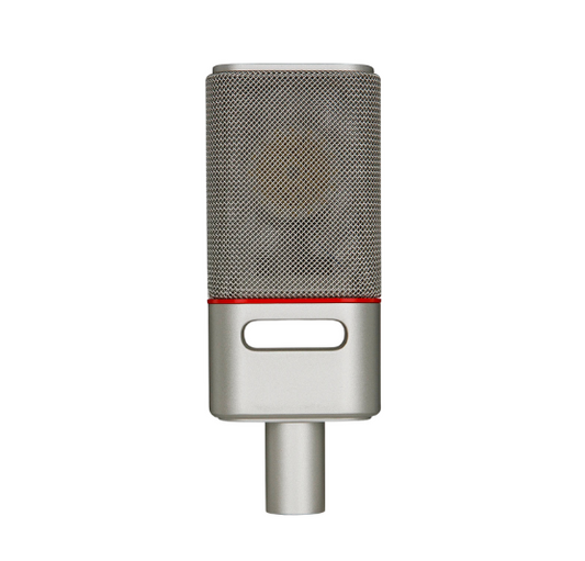 Microphone Baifeili V10