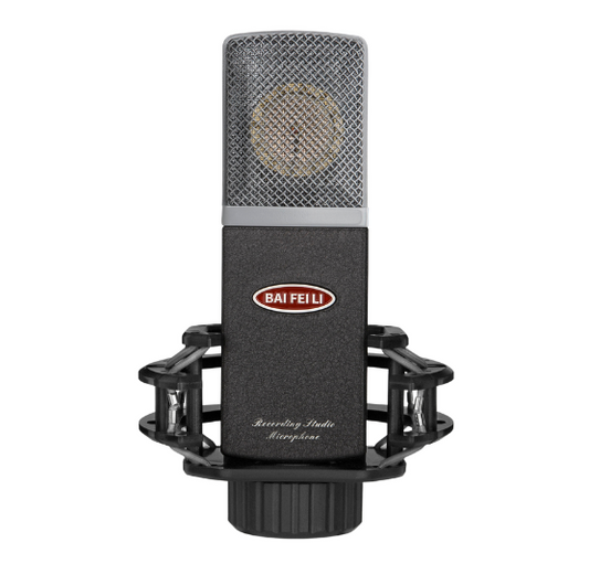 Microphone Baifeili V5