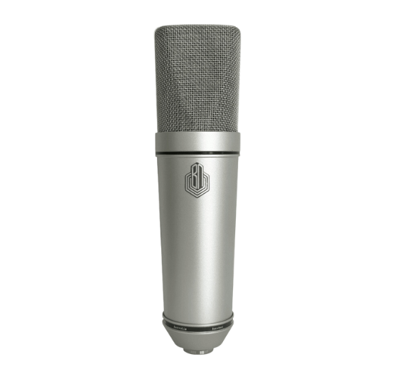Microphone BeesNeez BM49 tube