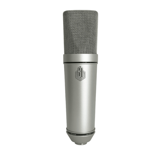 Microphone BeesNeez BM49 tube