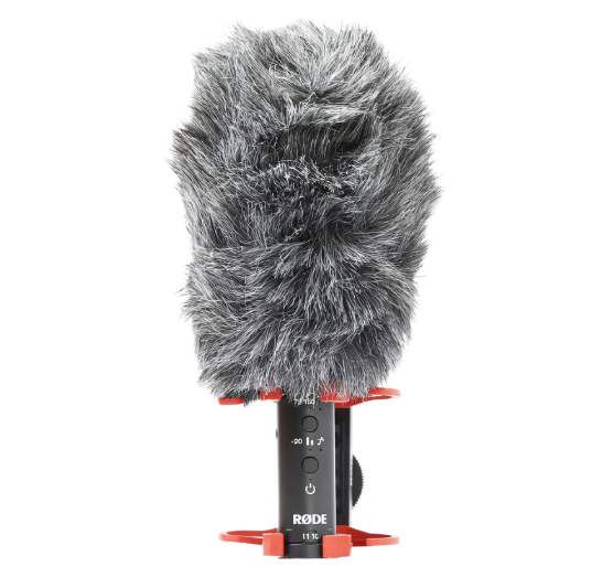 Microphone Rode VideoMic NTG
