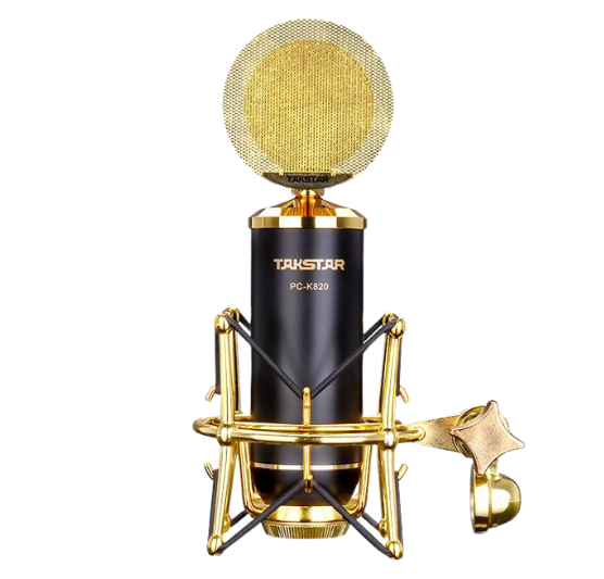 Microphone Takstar PC-K820 (chant-micro style vintage)